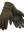 imagepopulate5
