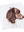 imagepopulate1