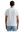 imagepopulate1