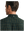 imagepopulate1
