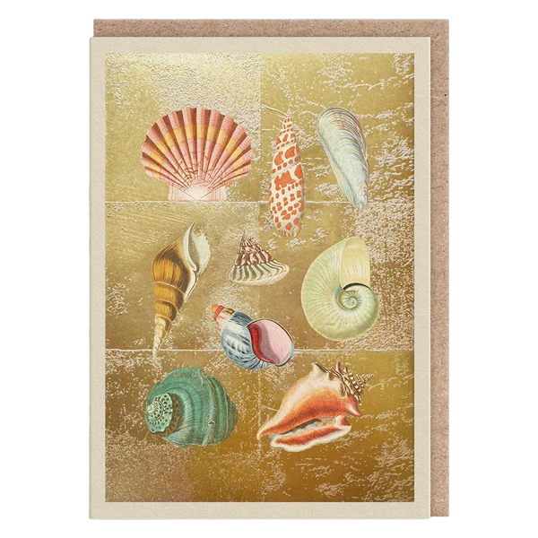 OHH DEER Greeting Cards - £2.95 - Shell Collection