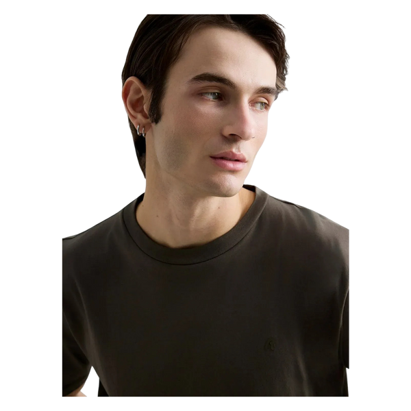 imagepopulate1