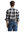 imagepopulate1