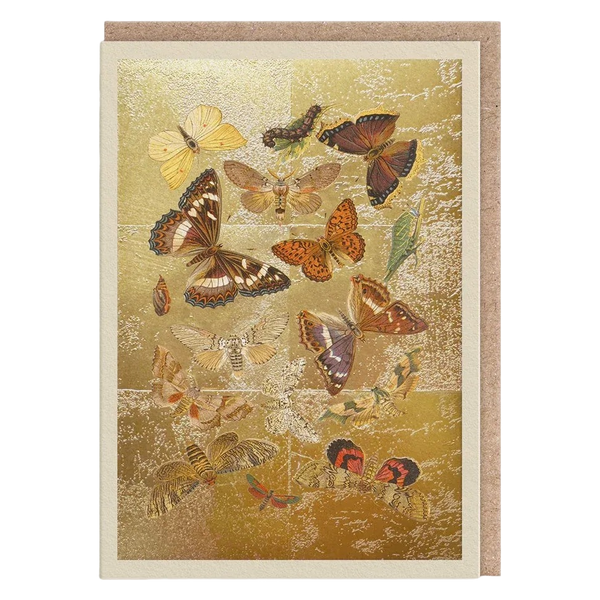 OHH DEER Greeting Cards - £2.95 - Lepidoptera