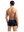 imagepopulate1