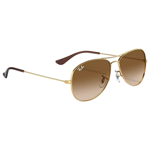 Cockpit Sunglasses