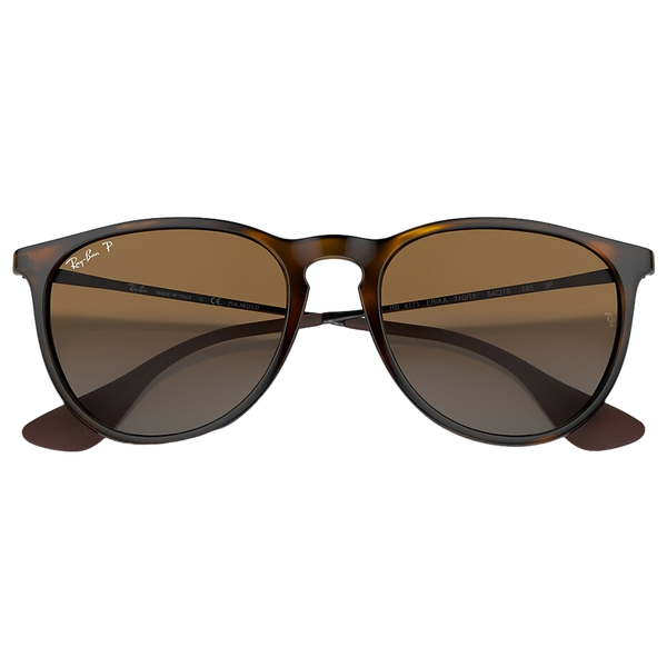 Ray-Ban Erika Sunglasses