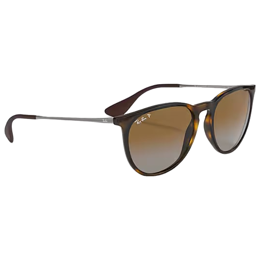 Ray-Ban Erika Sunglasses