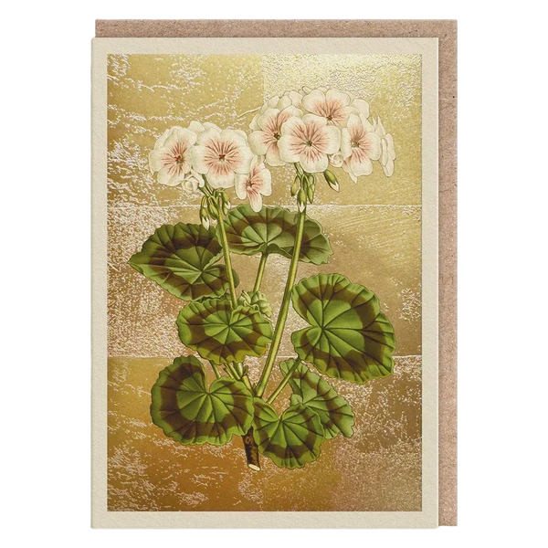 OHH DEER Greeting Cards - £2.95 - Geranium