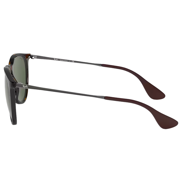 Ray-Ban Erika Sunglasses