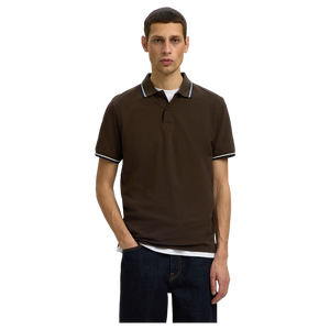 imagepopulate1