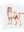 imagepopulate1