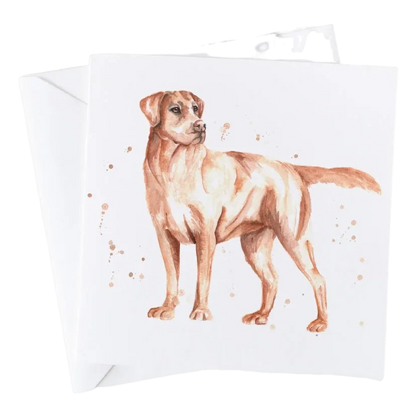 imagepopulate1