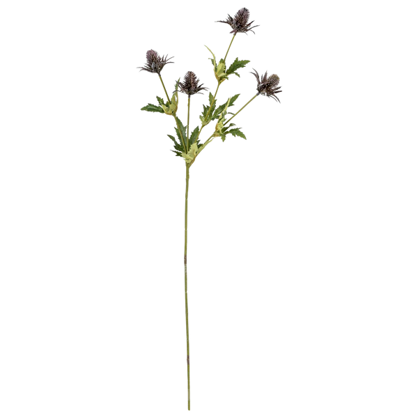 Thistle - 72cm