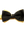 imagepopulate1