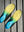 imagepopulate1