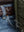 imagepopulate1
