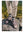 HJ Hall HJ96 Argyle Wool Softop® Socks