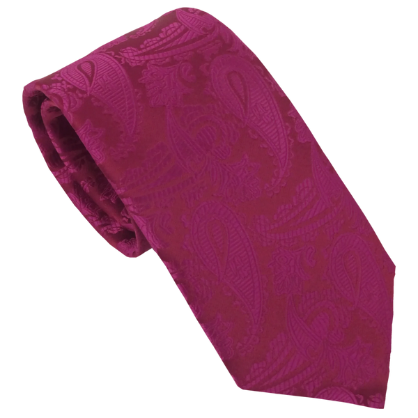 Van Buck Paisley Tie by Van Buck Tie for Men