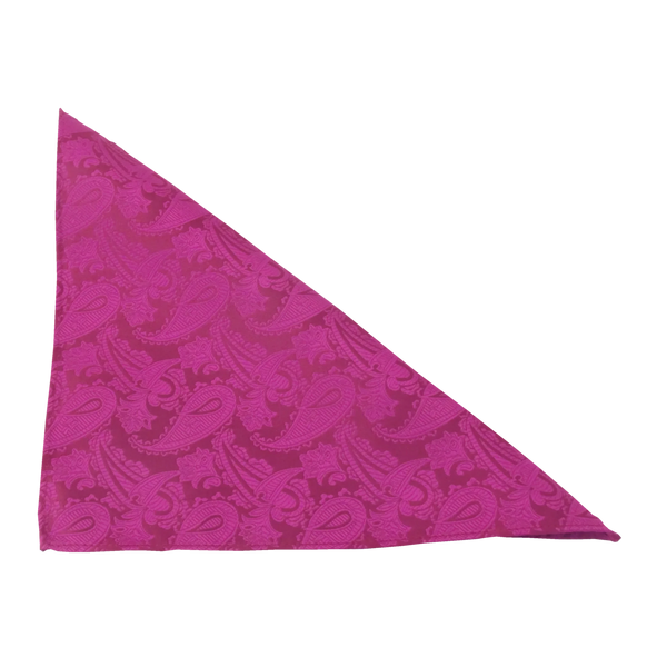 Van Buck Paisley Pocket Square Handkerchief by Van Buck for Men