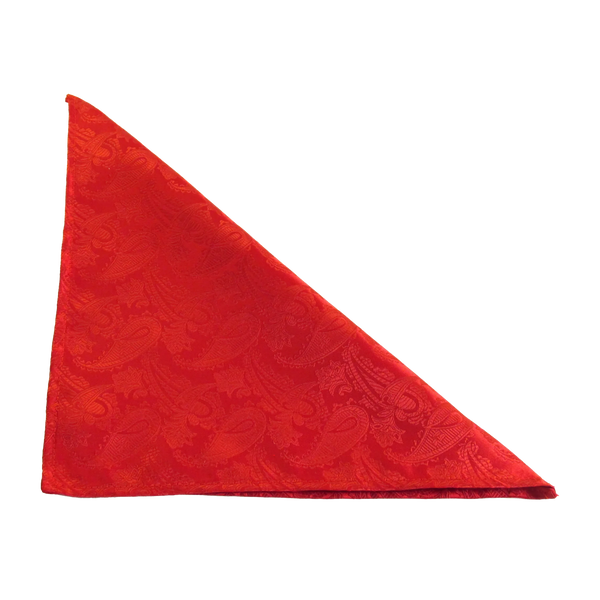 Van Buck Paisley Pocket Square Handkerchief by Van Buck for Men in Red