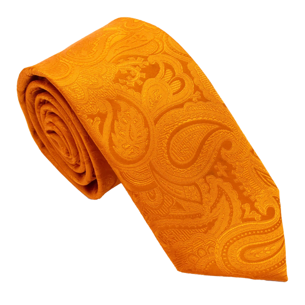 Van Buck Silk Paisley Tie
