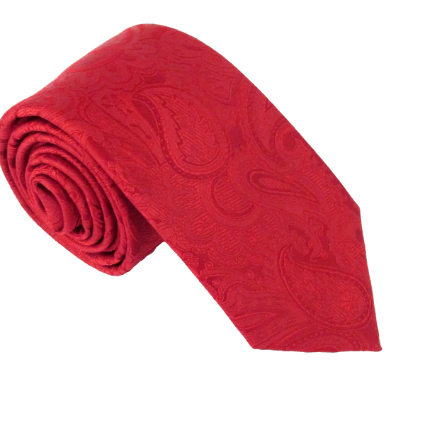 Van Buck Silk Paisley Tie for Men